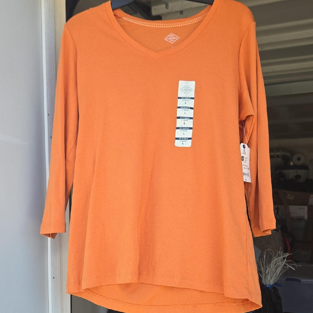 Mango Orange Long Sleeve V-Neck Top